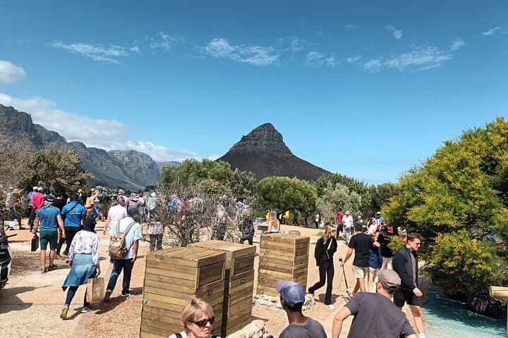 Table Mountain to Cape Point: 8-Hour Cape Town Coastline & Penguin Experience photo 2