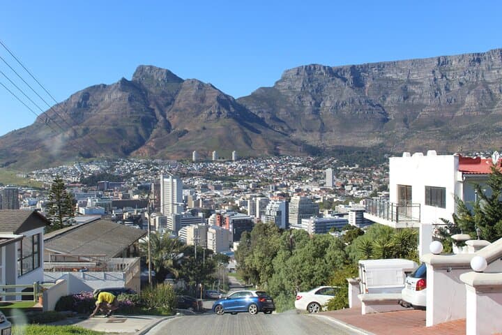 Table Mountain to Cape Point: 8-Hour Cape Town Coastline & Penguin Experience photo 5