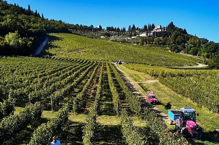 Private Chianti Tour and Wine Tasting — Montefioralle, Castles & Chianti Classico photo 3