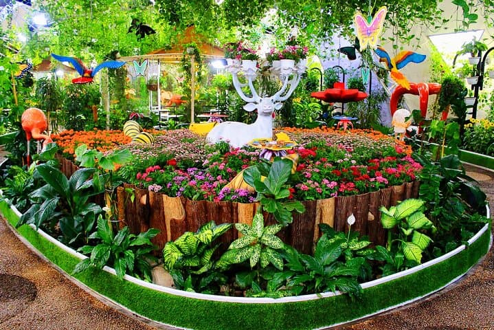 Explore Dubai Butterfly Garden: Tickets, Transfers & What to Expect photo 4