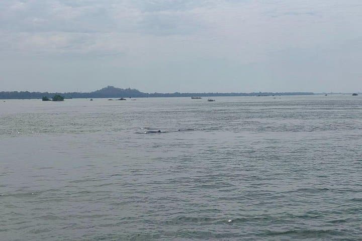 Late-Afternoon Mekong Dolphin Watching & Phnom Sam Bok by Tuk-Tuk (Kratie) photo 2