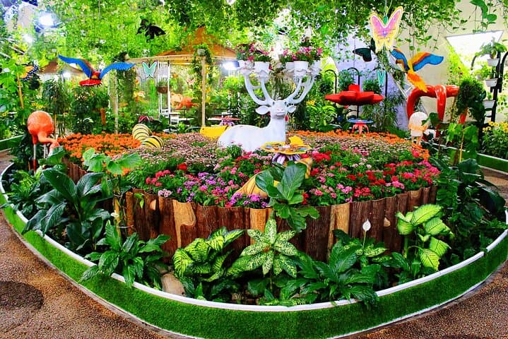 Explore Dubai Butterfly Garden: Tickets & Private Transfers to the World’s Largest Covered Butterfly Conservatory photo 6