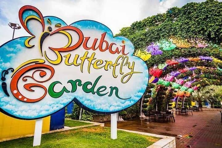Explore Dubai Butterfly Garden: Tickets & Private Transfers to the World’s Largest Covered Butterfly Conservatory photo 3