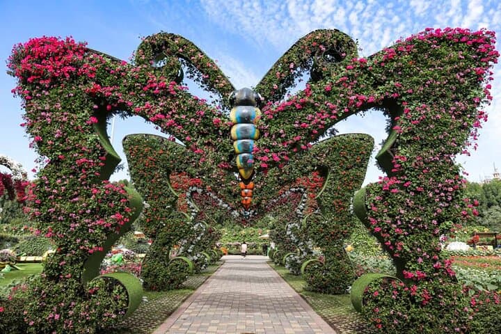 Explore Dubai Butterfly Garden: Tickets & Private Transfers to the World’s Largest Covered Butterfly Conservatory