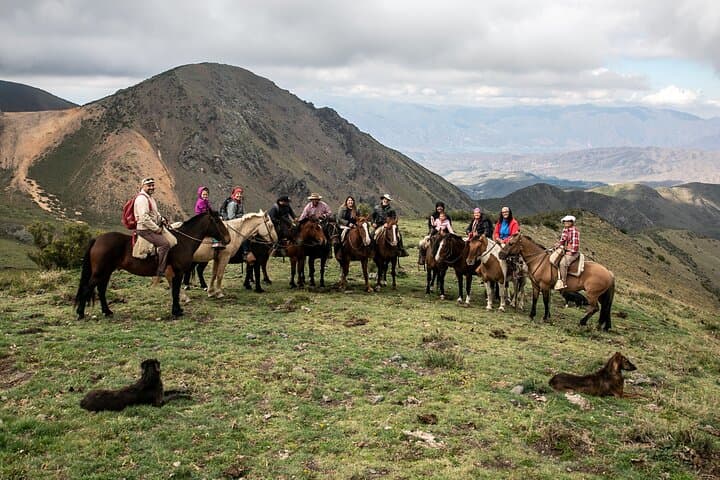Gaucho Horseback Ride & High-Andes Barbecue — Mendoza Day Trip photo 6