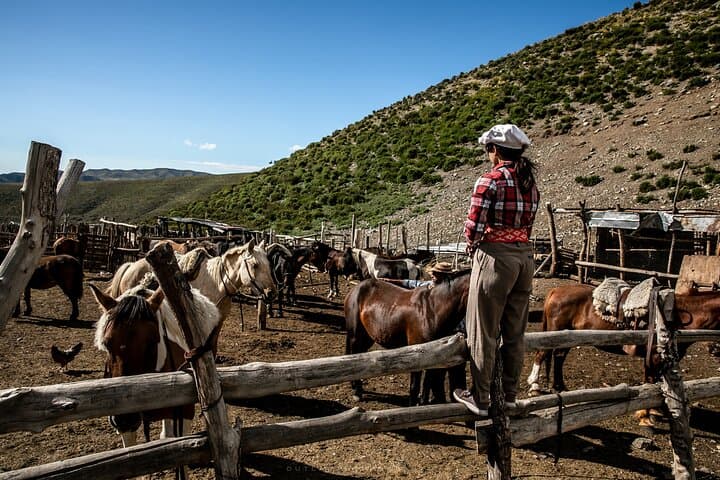Gaucho Horseback Ride & High-Andes Barbecue — Mendoza Day Trip photo 4