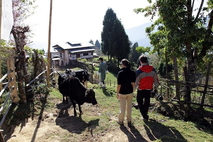 Private 5-Day Trans Bhutan Trail Trek from Paro — Haa to Tiger's Nest photo 3
