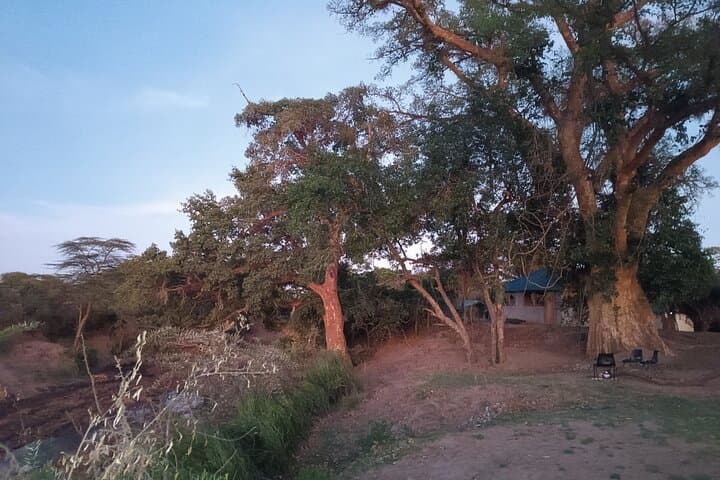 3-Day Masai Mara Camping Safari: Big Five & Great Migration Game Drives photo 2
