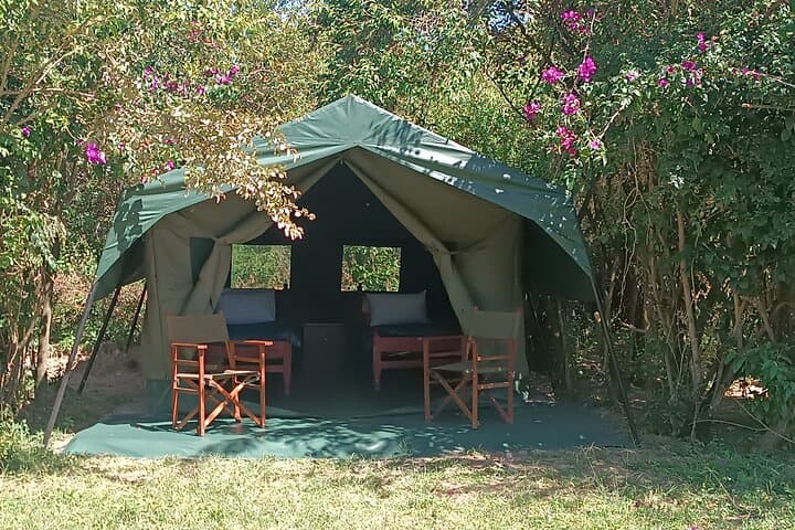 3-Day Masai Mara Camping Safari: Big Five & Great Migration Game Drives photo 5
