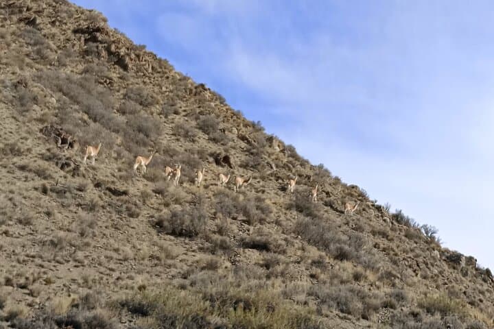 4x4 Uspallata Adventure: Private Day Tour Through Mendoza's Precordillera photo 2