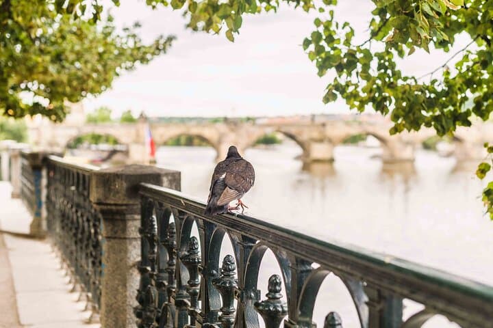 Walk, Sip, Discover: Prague Audio-Guided Beer Tour & Pilsner Exhibition photo 5