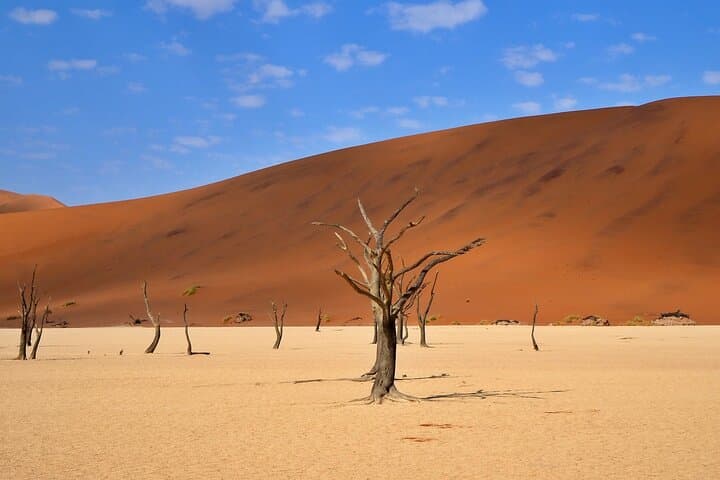 Discover Namibia: 10-Day Small-Group Safari from Windhoek