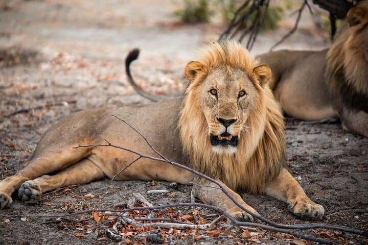 Discover Namibia: 10-Day Small-Group Safari from Windhoek photo 5