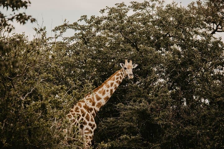 Discover Namibia: 10-Day Small-Group Safari from Windhoek photo 6