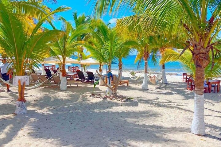 Half-Day Cozumel Island Tour: Mayan Park, Downtown & Beach Break photo 2