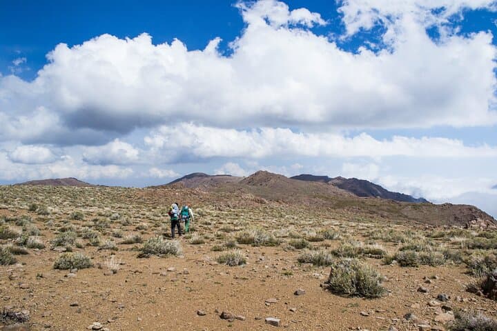 Full-Day Private Photography Hike in Chile's Cordillera de la Costa photo 6