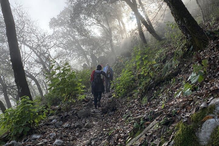 Hike to Puerto Gringo — Day Trek in Santiago, Nuevo León's Cumbres de Monterrey photo 4