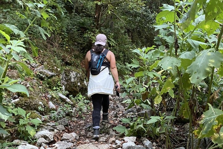 Hike to Puerto Gringo — Day Trek in Santiago, Nuevo León's Cumbres de Monterrey photo 6