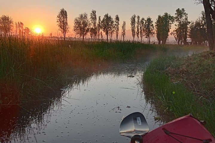 Xochimilco Sunrise Kayak: Dawn Kayak & Chinampa Breakfast in Mexico City photo 3