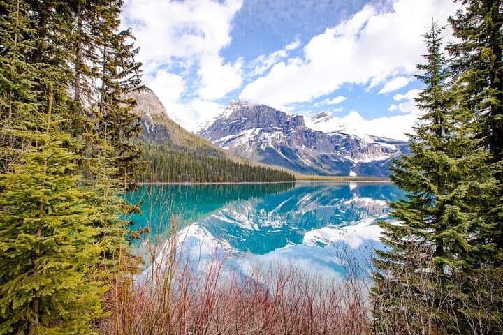 5-Day Canadian Rockies Tour: Calgary to Banff, Icefields, Lake Louise & Moraine Lake photo 2