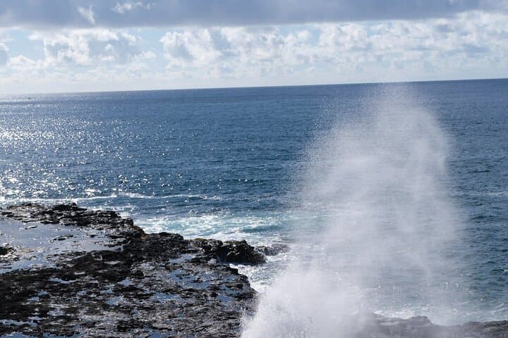 Exploring Kauai’s Waimea Canyon and Koke'e State Park: A Day Tour Through the Grand Canyon of the Pacific photo 6