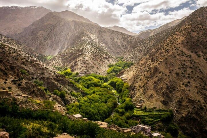 Half-Day Atlas Mountains Escape: Waterfalls, Argan Cooperatives & Berber Trails photo 2