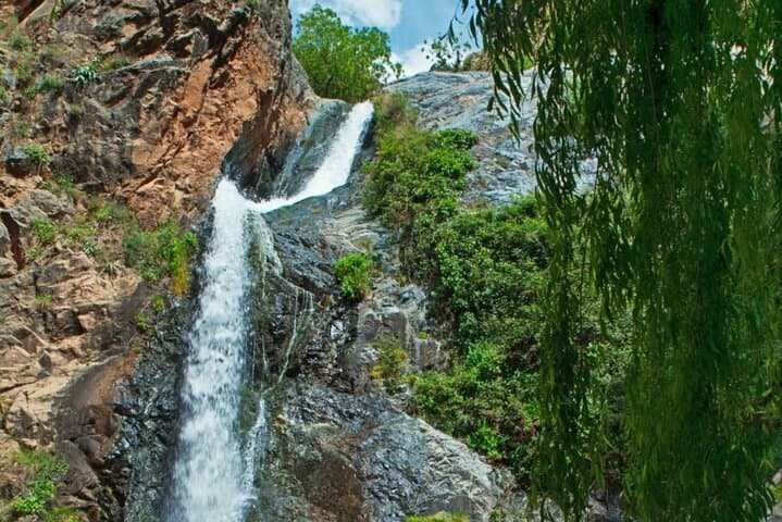 Half-Day Atlas Mountains Escape: Waterfalls, Argan Cooperatives & Berber Trails photo 4