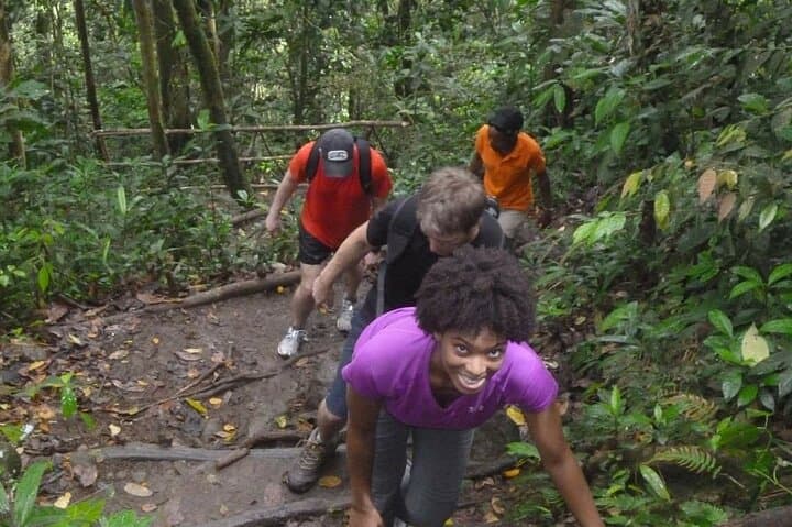 Gros Piton Hike: 4-Hour Guided Summit Trek in St. Lucia photo 2