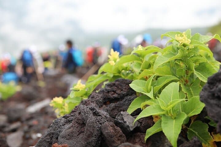 Private Mt. Fuji Trek to the 7th Station — Day Trek from Tokyo photo 4
