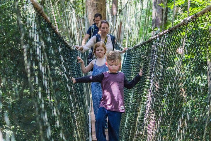 Taman Negara Day Trip from Kuala Lumpur: Jungle Trek, Canopy Walk & River Rapids photo 2