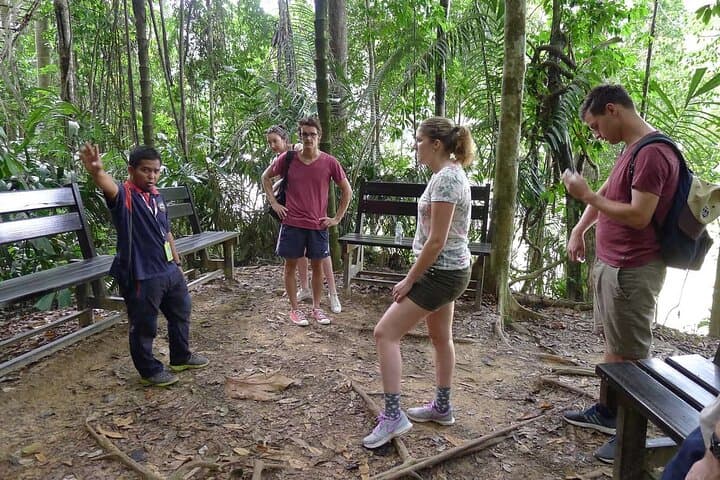 Taman Negara Day Trip from Kuala Lumpur: Jungle Trek, Canopy Walk & River Rapids photo 6