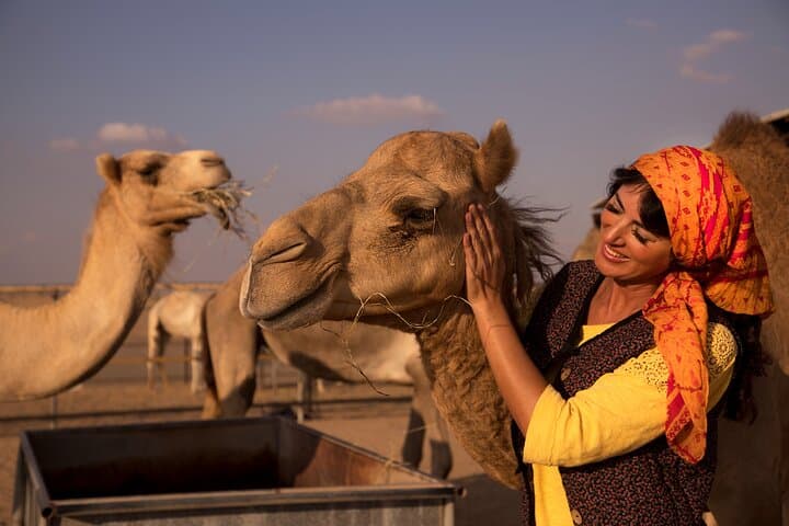 Overnight Camel Caravan in Dubai's Red Dunes: Bedouin Camp, BBQ & Sunrise Trek photo 5