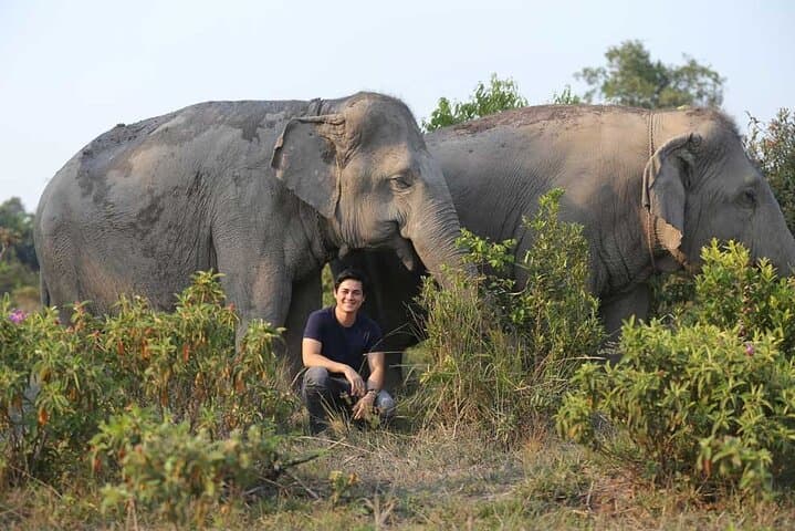 Kulen Elephant Forest & Kompong Phluk: Private Day Tour from Siem Reap