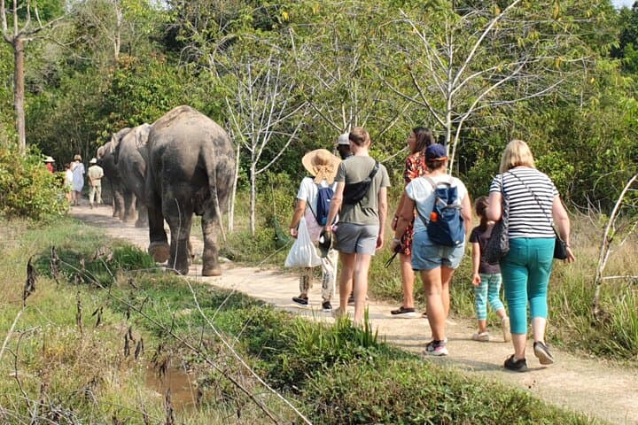 Kulen Elephant Forest & Kompong Phluk: Private Day Tour from Siem Reap photo 2