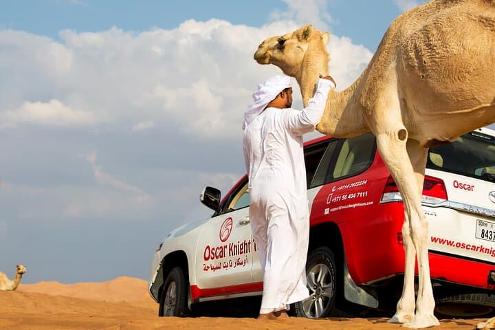 Sunset Camel Trek and Bedouin BBQ: Dubai Desert Safari with Falcon Show photo 1