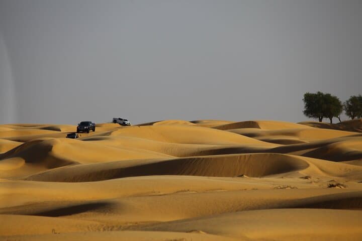 Sunset Watching in Al Wahiba Sand: Camel Rides, Dune Bashing & Desert Camp Dinner photo 3
