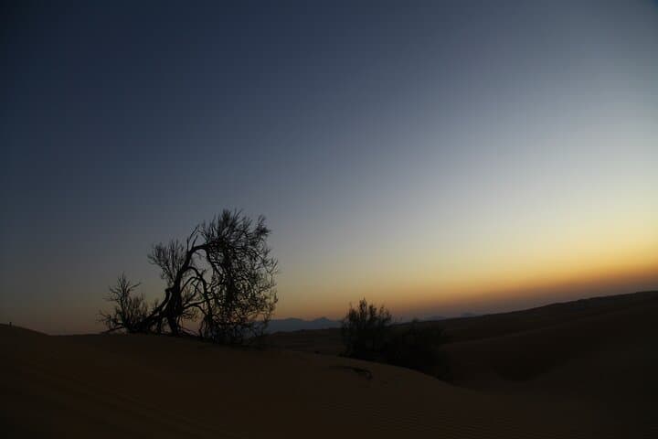 Sunset Watching in Al Wahiba Sand: Camel Rides, Dune Bashing & Desert Camp Dinner photo 4