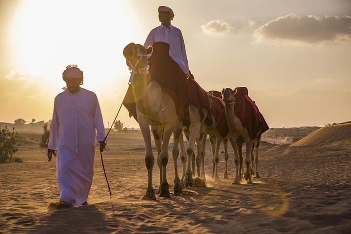 Dubai Red Dunes Morning Safari with Quad Bike — Quad, Dune Bashing & Camel Ride photo 4