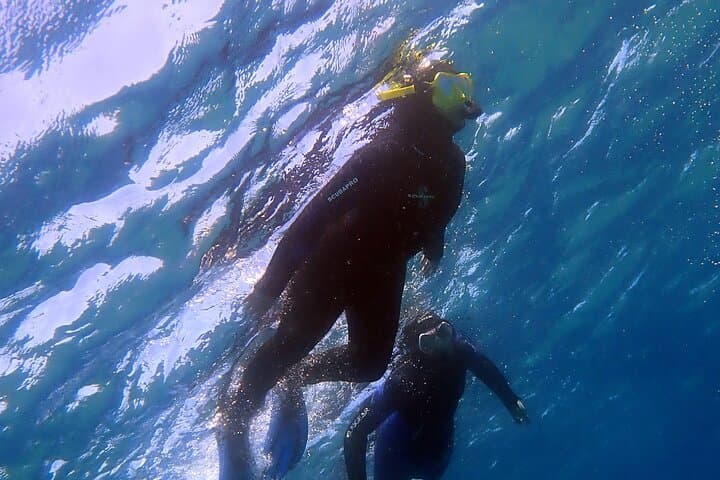 Snorkeling Costa Teguise: 2-Hour Guided Tour in Lanzarote photo 4