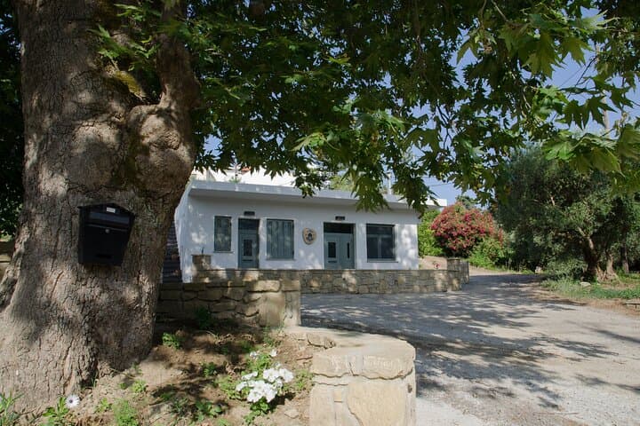 West Chania Small Winemakers: 90-Minute Village Wine Tasting photo 3