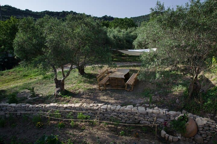 West Chania Small Winemakers: 90-Minute Village Wine Tasting photo 4