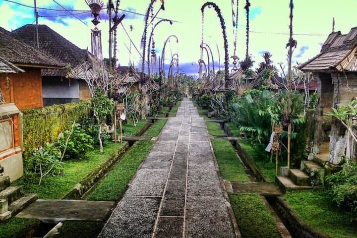 Ubud to Kintamani: Day Tour to Mount Batur, Tegallalang & the Monkey Forest photo 1
