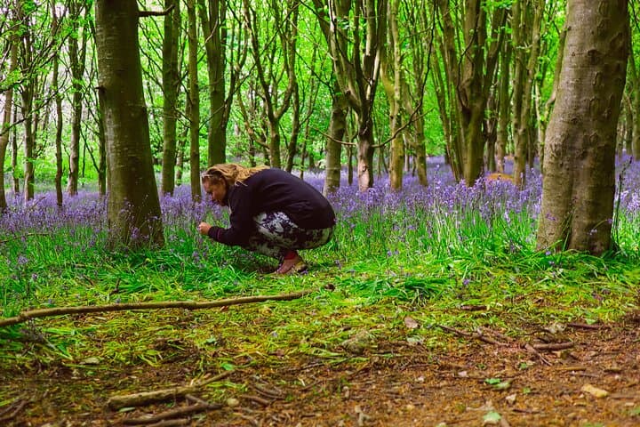 Forest Bathing & Yoga at Stonerocks Farm — Bolney Day Retreat photo 3
