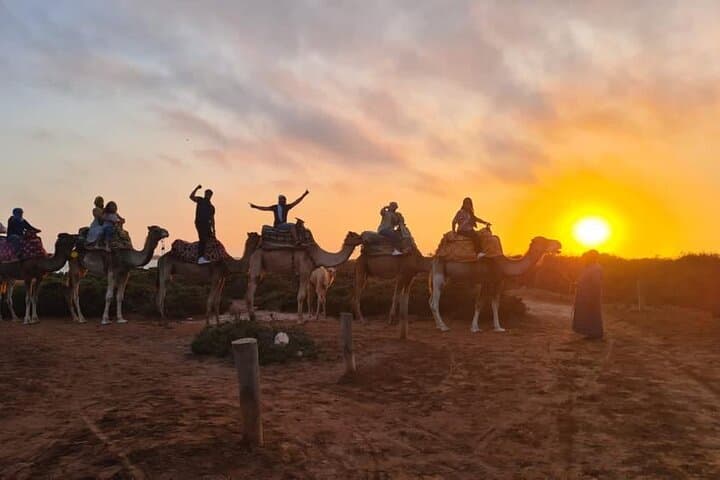 Agadir Sunset Camel Ride with Moroccan Barbecue on the Souss River