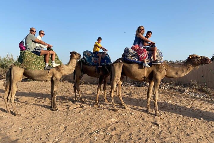 Agadir Sunset Camel Ride with Moroccan Barbecue on the Souss River photo 2