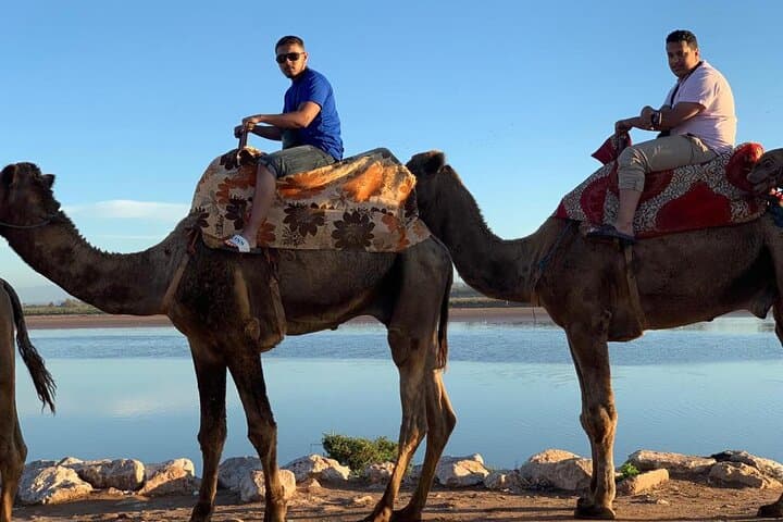 Agadir Sunset Camel Ride with Moroccan Barbecue on the Souss River photo 4