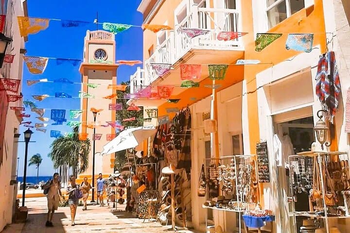 Half-Day Cozumel Island Tour: Mayan Park, Downtown & Beach Break photo 6