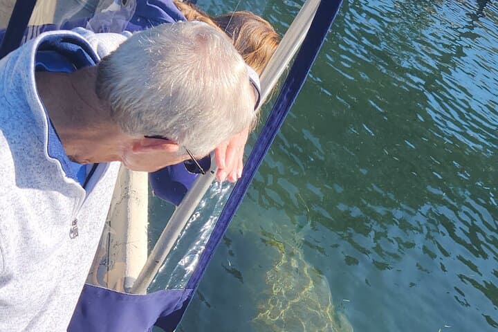 Private Crystal River Manatee Boat Tour: Kings Bay Wildlife Cruise photo 4