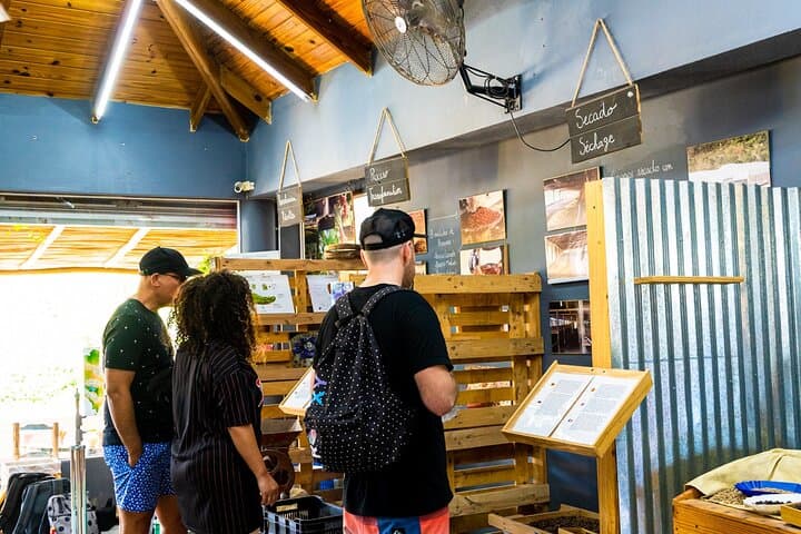 Dominicus Coffee Roasting Experience — Small-Batch Tasting in Bayahibe photo 6
