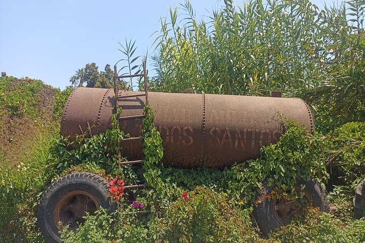 Todos Santos Treasure Hunt: Self-Guided Walking Scavenger in Baja's Historic Art Town photo 2